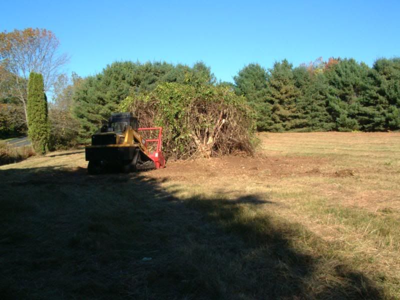 DSCF0026.jpg