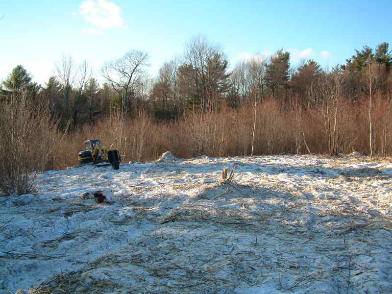 Hardwickday1002.jpg