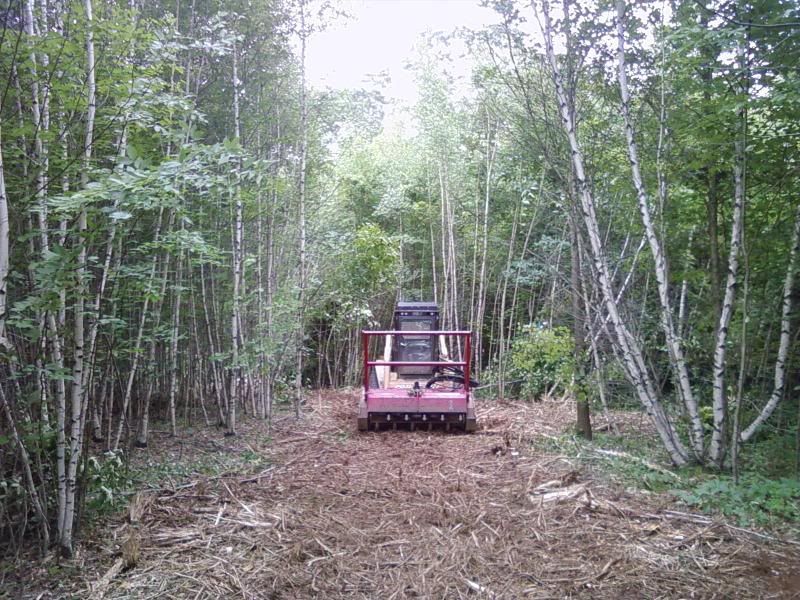 PrimeHomesLot002.jpg