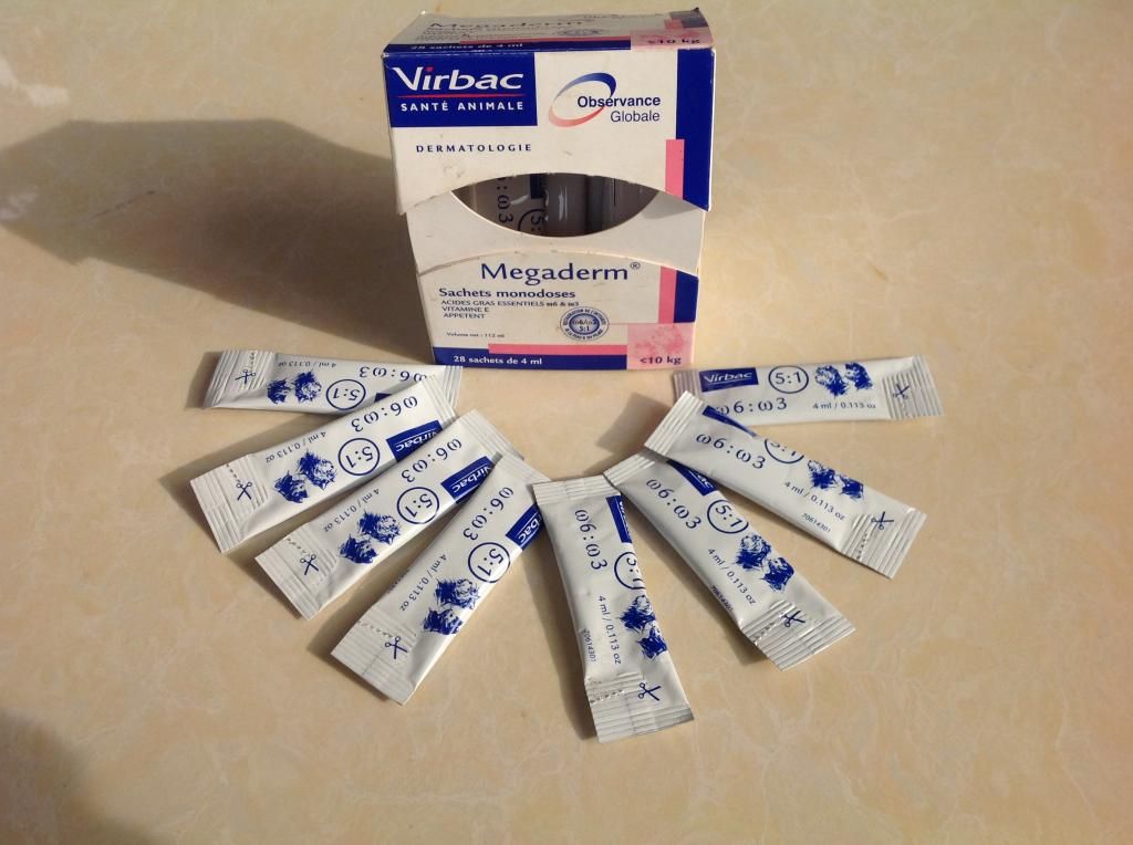 Dịch vụ nuôi giữ thú cưng! - 10