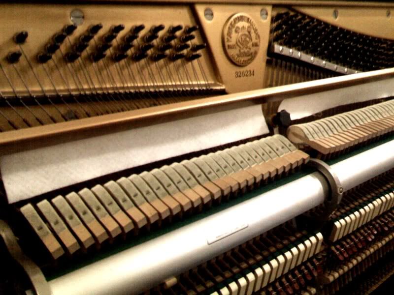 StringPiano.jpg picture by derobs