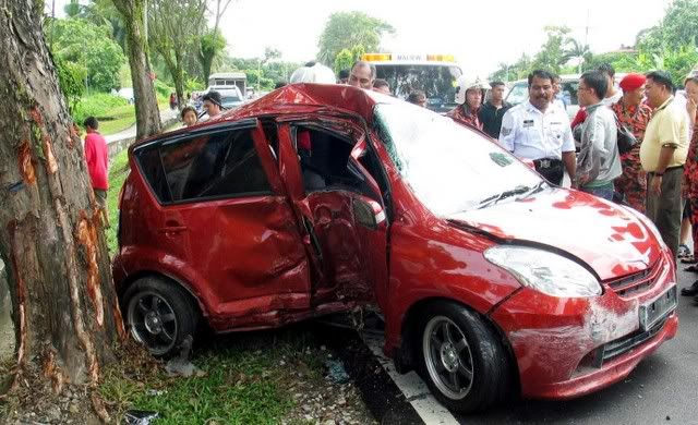 crashmyvi.jpg