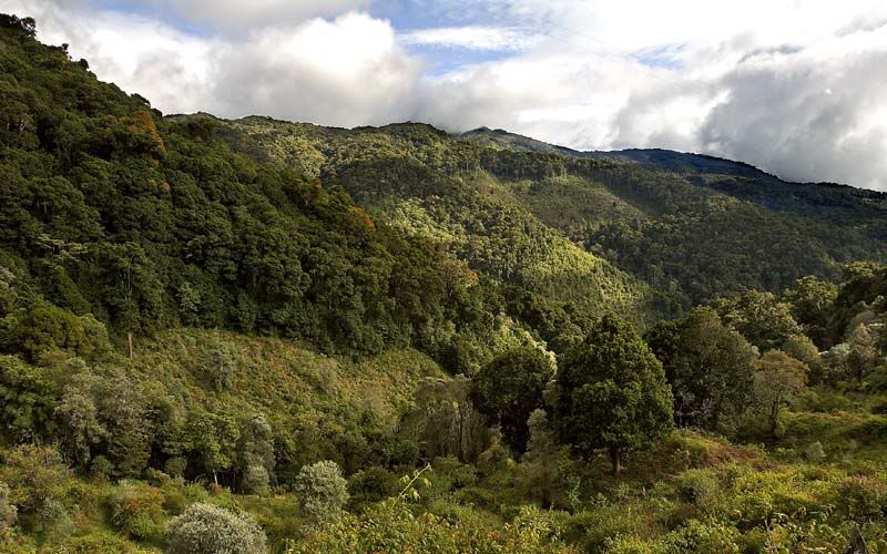 IMAGE: http://i48.photobucket.com/albums/f226/nididur/IMG_2192-1_L.jpg