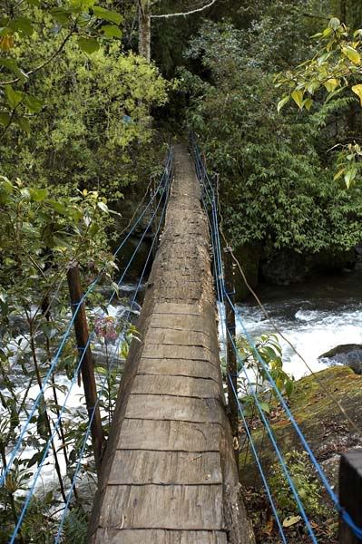 IMAGE: http://i48.photobucket.com/albums/f226/nididur/IMG_2253_L.jpg