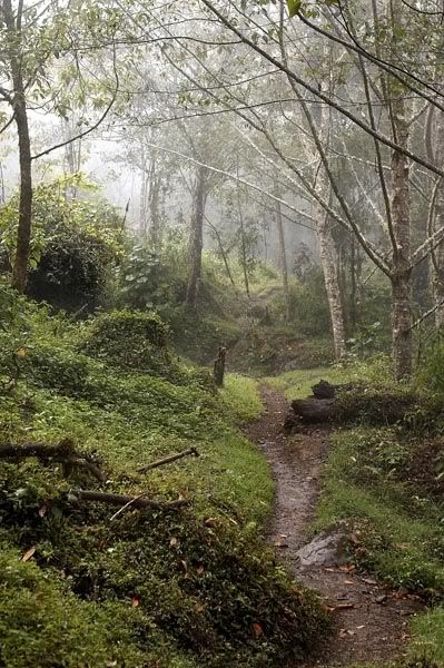 IMAGE: http://i48.photobucket.com/albums/f226/nididur/IMG_2268_L.jpg