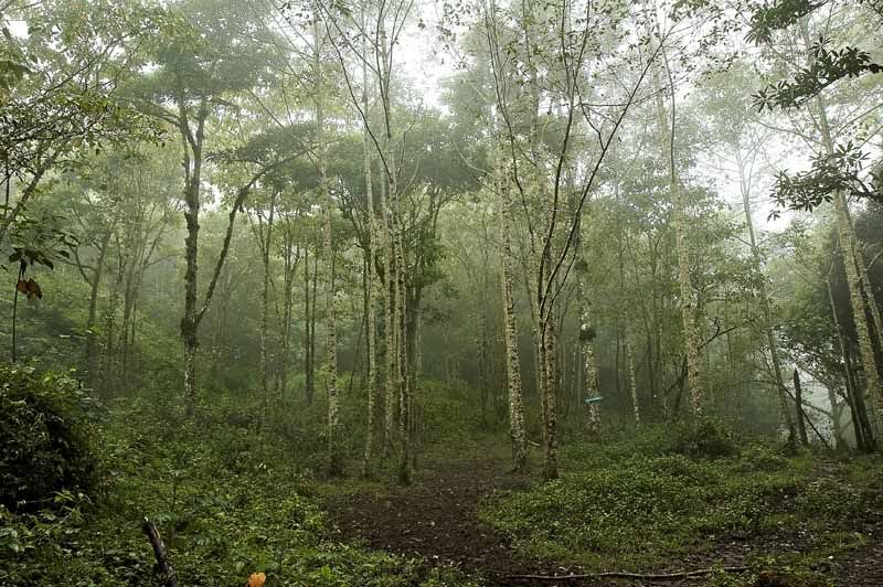 IMAGE: http://i48.photobucket.com/albums/f226/nididur/IMG_2275_L.jpg