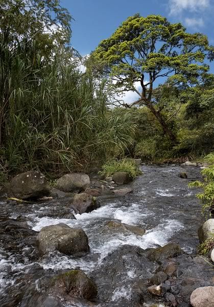 IMAGE: http://i48.photobucket.com/albums/f226/nididur/IMG_2374-1_L.jpg