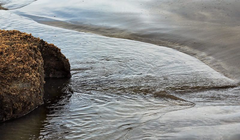 IMAGE: http://i48.photobucket.com/albums/f226/nididur/IMG_9805_L.jpg