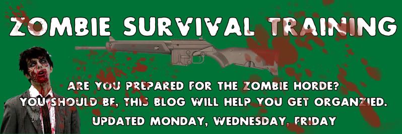 Zombie Survival Training
