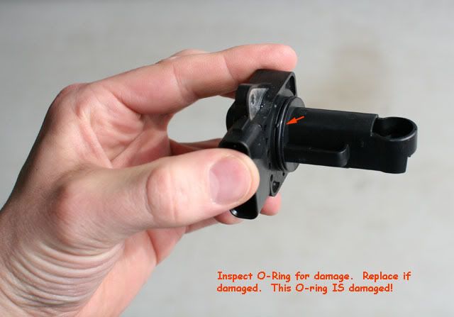 mafcleaning-oring.jpg