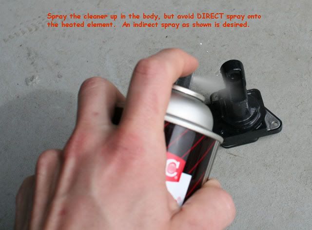 mafcleaning09.jpg