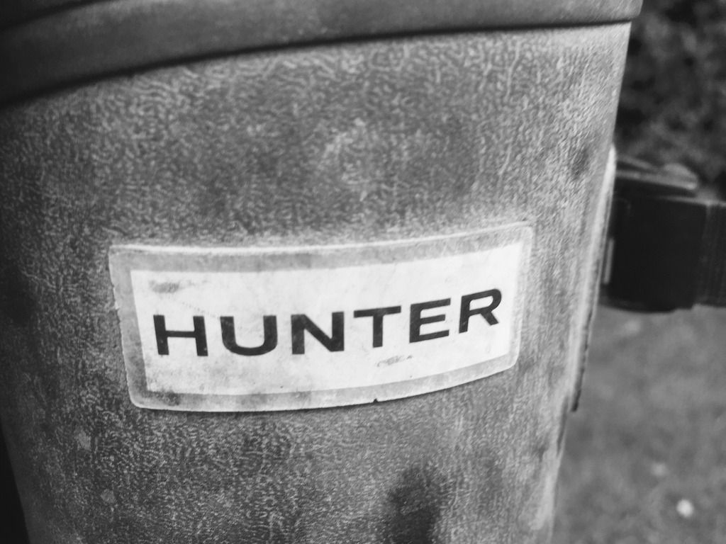 4411D04B-3A2E-4982-98D5-76BBCDF0797C_zps