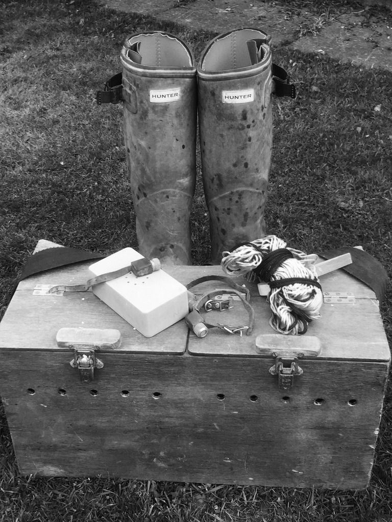 71529194-B980-4D53-8C3E-1200DC447165_zps