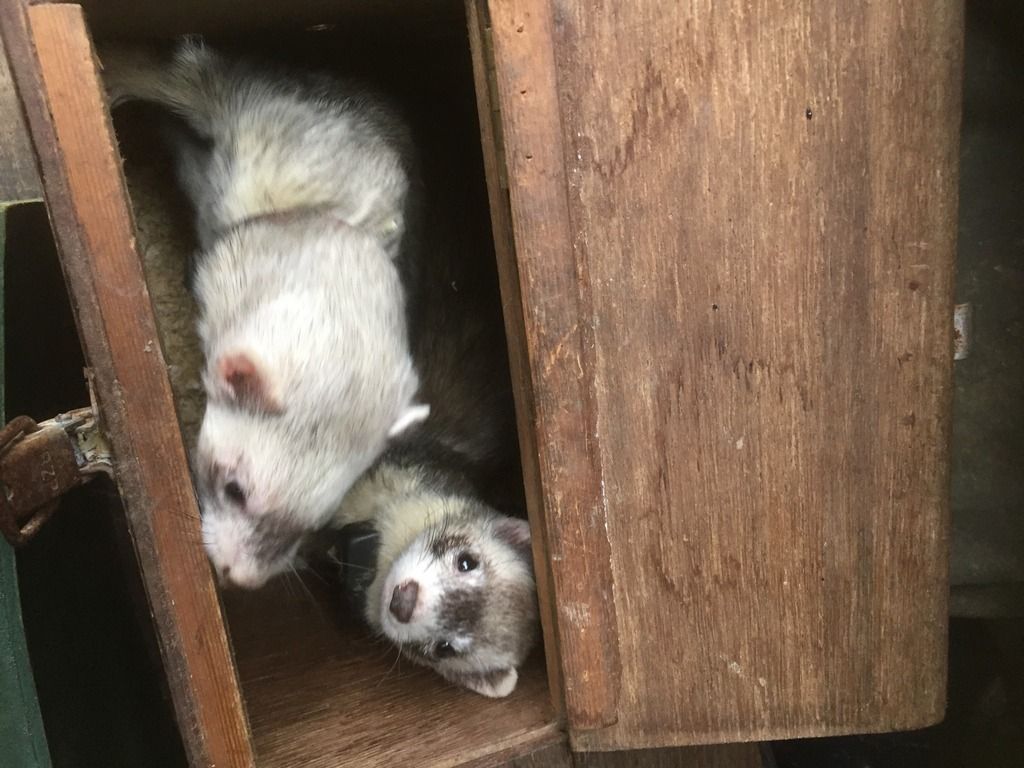 CA460248-1BBC-473D-AC3B-E96B5D761432_zps