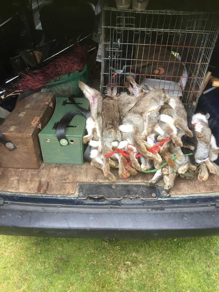 E09FFBAE-F200-4372-B85B-8447EE84D823_zps