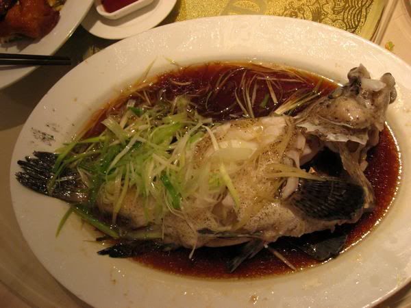 http://i48.photobucket.com/albums/f227/viola_k/IMG_7502.jpg