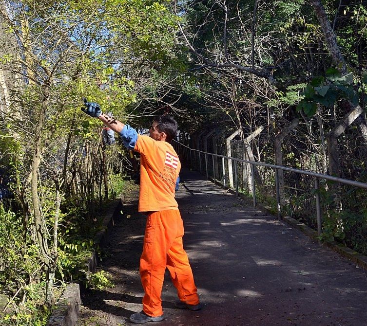 Companhia Urbanizadora de Blumenau abre concurso público Companhia Urbanizadora de Blumenau abre concurso público