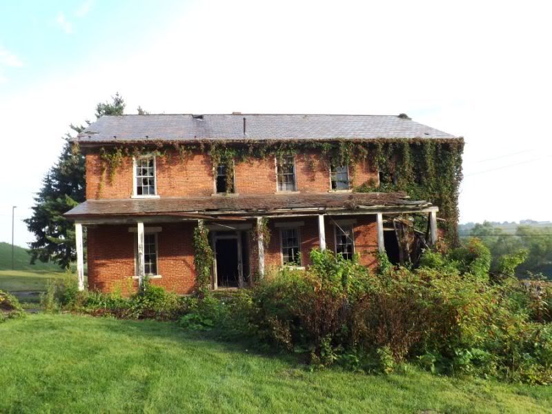 DSCF1217.jpg