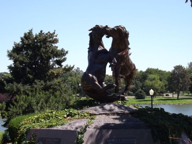 MN146.jpg