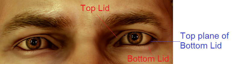 Cullens%20Eyes%20Analysis_zpsonkahyhs.pn