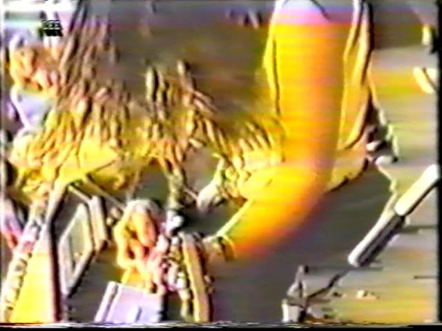 Sepultura &#8211; Dynamo Open Air Eindhoven Kunstijsbaan 4-6-1990 DVD 2