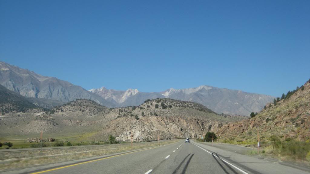 IMG_5721.jpg