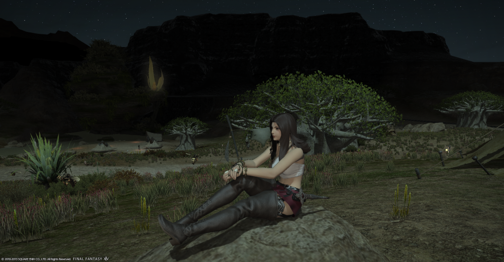[Image: ffxiv_20130713_213811.png]