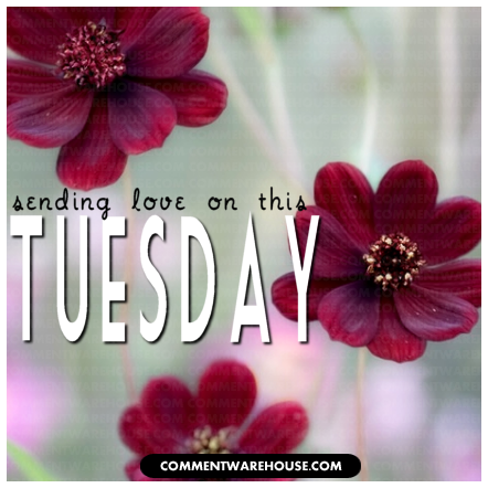  photo tuesday-sending-love-flower.png