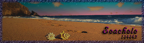 seachele.gif