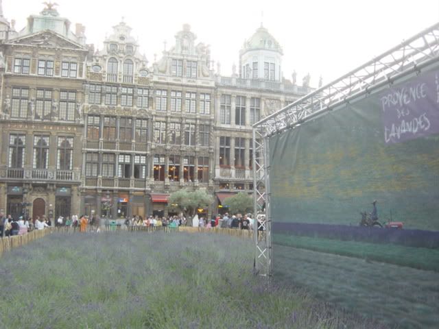 http://i48.photobucket.com/albums/f232/sebidel/DSC02900.jpg