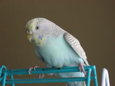 lizzymay08.jpg