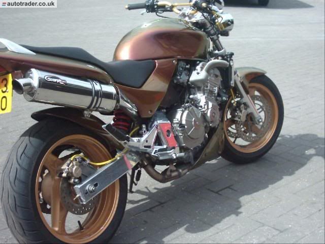 hornetone.jpg