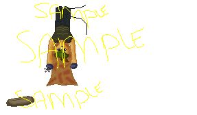 SigSample1.jpg