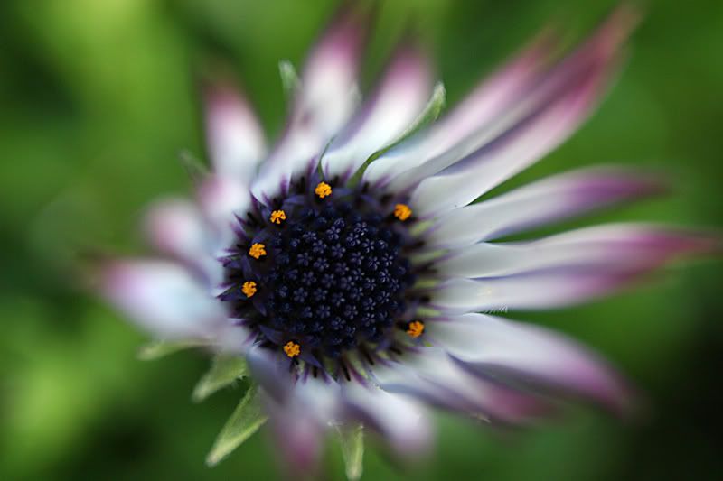 IMAGE: http://i48.photobucket.com/albums/f236/dgcorner/GKPE/Abstract.jpg