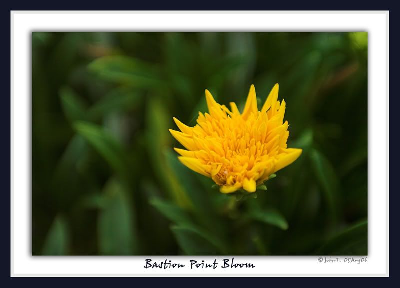 IMAGE: http://i48.photobucket.com/albums/f236/dgcorner/GKPE/BastionPtSunrise050806-Web3.jpg