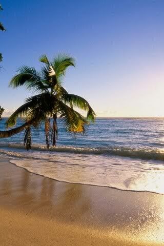 Beach320x480.jpg
