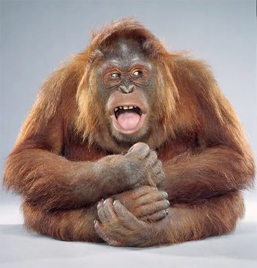 monkey-boy.jpg