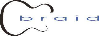 Braid logo