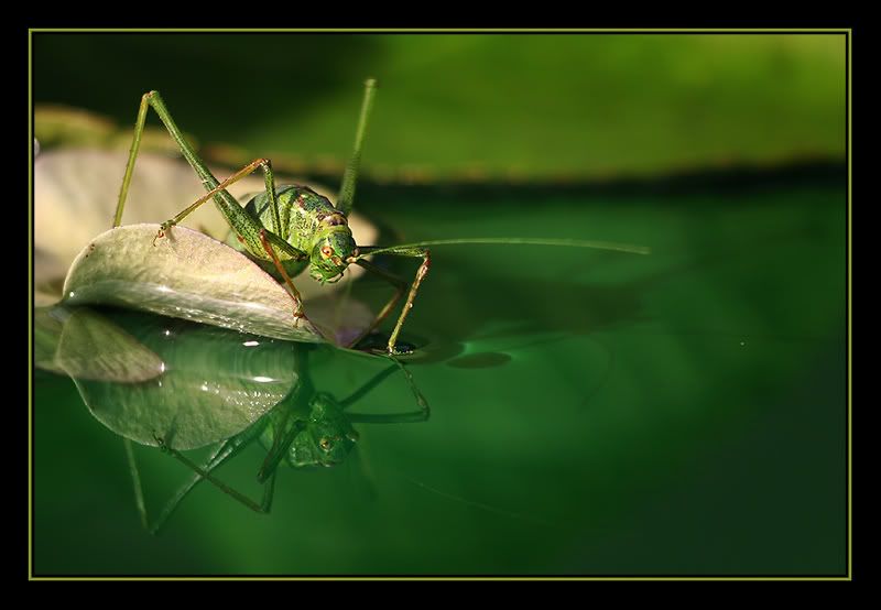 Fotografie