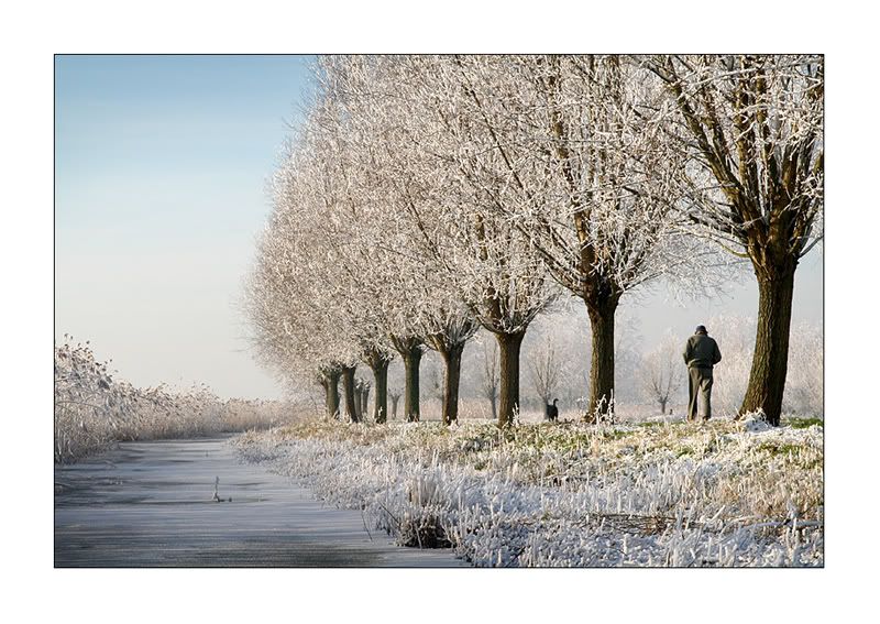 Fotografie