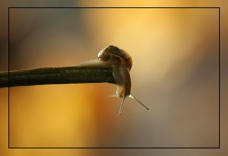 Fotografie