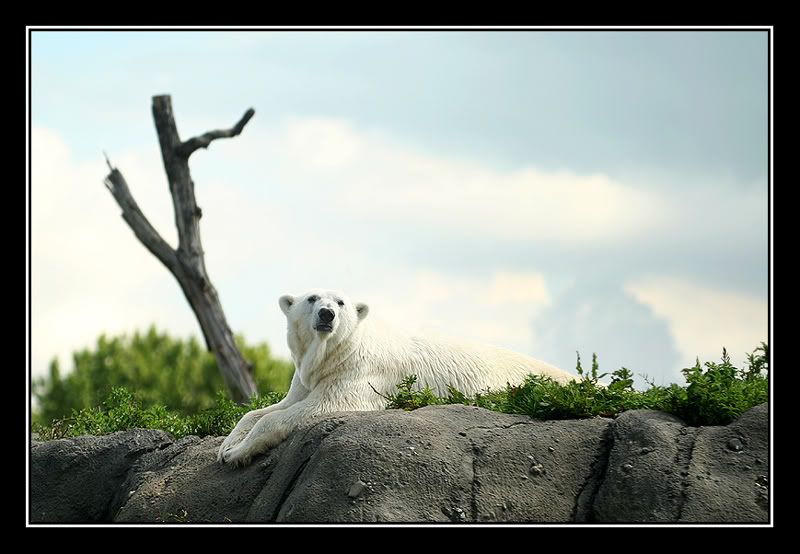 Fotografie