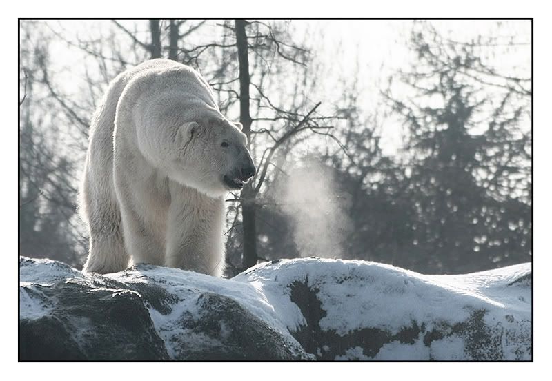 Fotografie