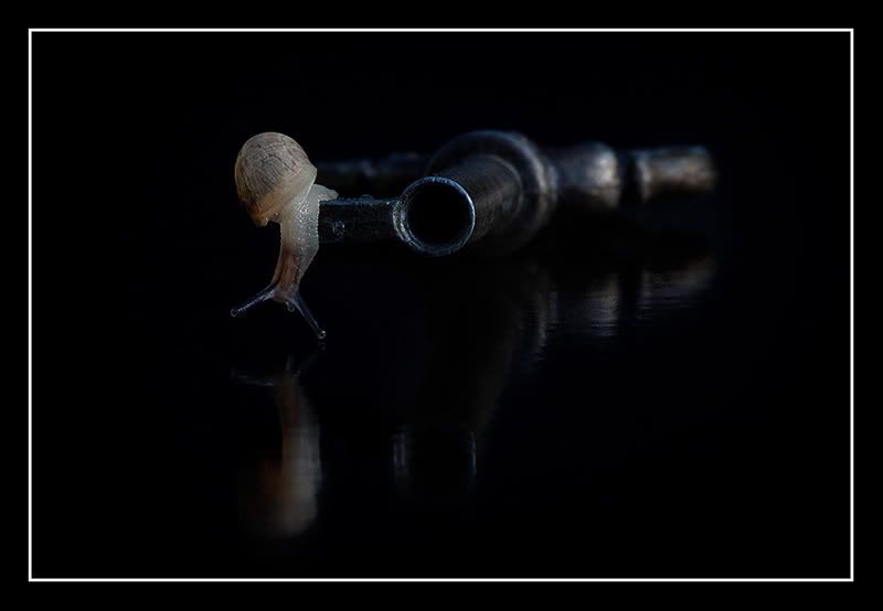 Fotografie