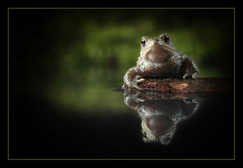 Fotografie