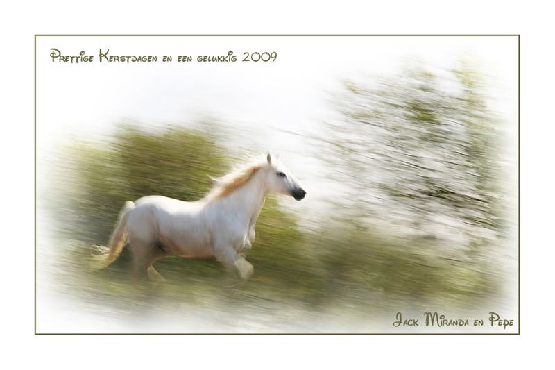 Fotografie
