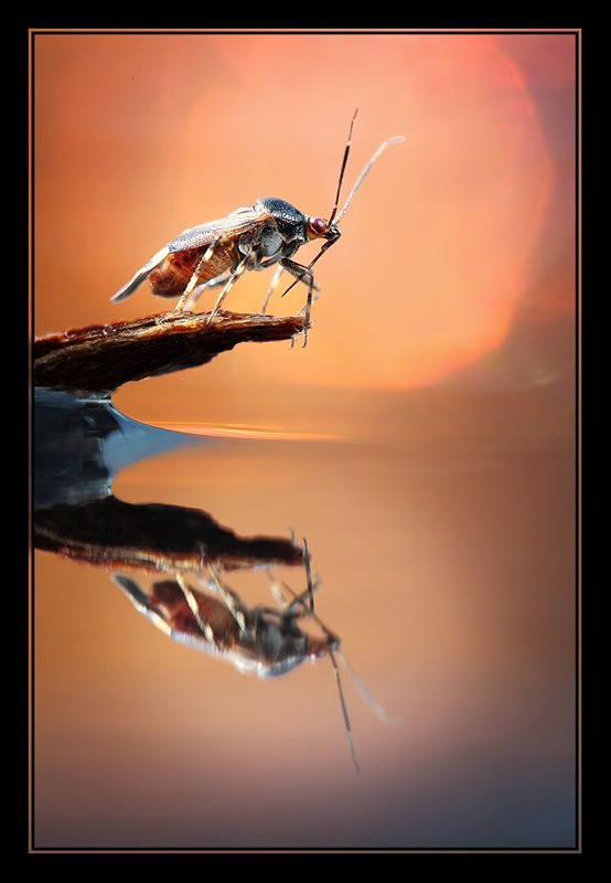 Fotografie