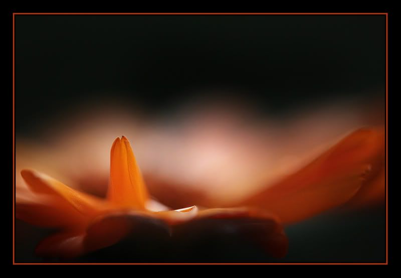 Fotografie