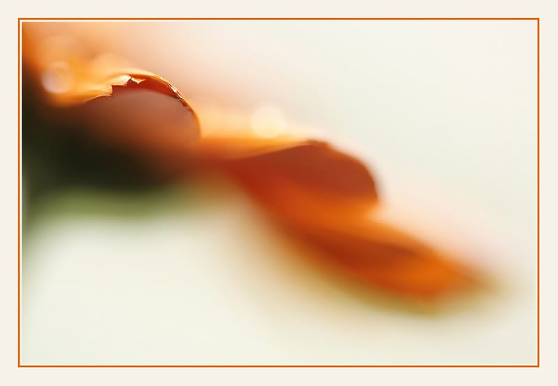 Fotografie