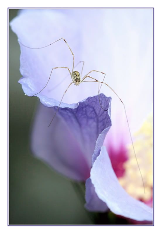 Fotografie